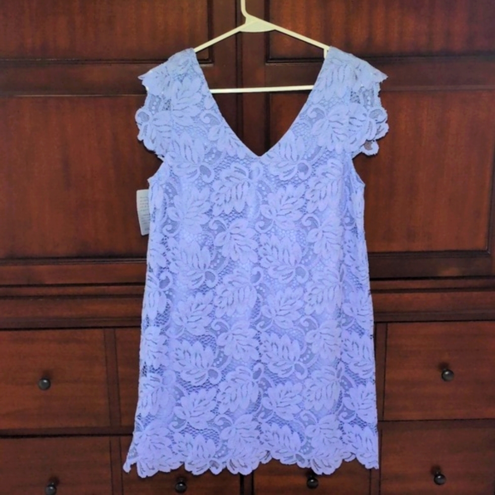 BB Dakota Blue Lace Dress - Picture 4 of 10